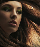 【专业破解版】免费下载的DDOS网页端